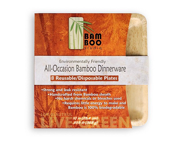 Bamboo Studio 10in Square Plate Set