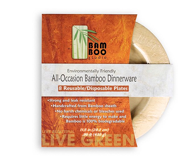 Bamboo Studio 11in Round Plate Set