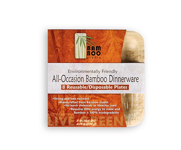 Bamboo Studio 8in Square Plate Set