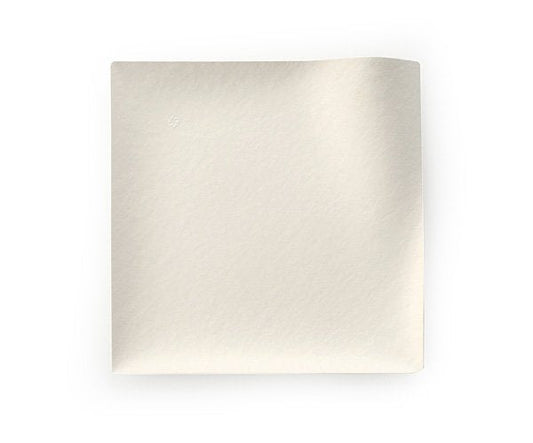 WASARA Kaku Large Square Plate Bulk / 50 Pack
