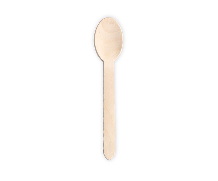EcoWare Disposable Wooden Spoon 25/PK