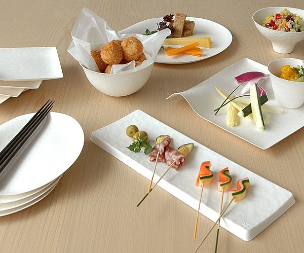 Wasara Eco-Friendly Dinnerware : Square and Round Disposable Plates ...