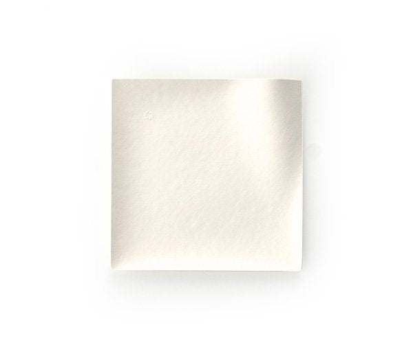 Wasara Eco-Friendly Dinnerware : Square and Round Disposable Plates ...