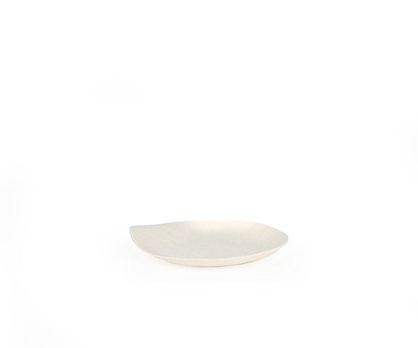 Wasara Eco-Friendly Dinnerware : Square and Round Disposable Plates ...