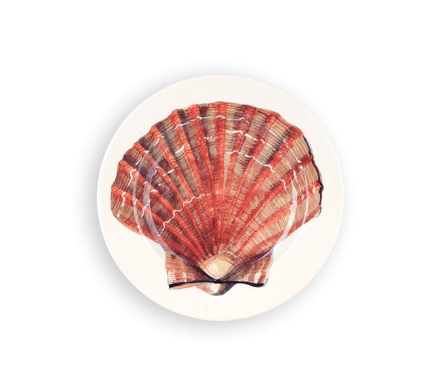 Scallop Shell 6.5in Plate-Emma Bridgewater Pottery-Joanne Hudson Basics